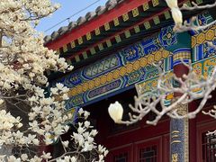 -天津大悲禅院