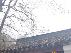 -宋宴(虎跑店)