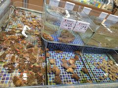 -天盛海鲜烧烤大排档·本地小海鲜·牟平腿穗子(幸福店)