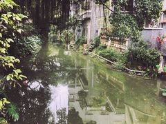-小洲村