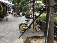 -泡桐树街