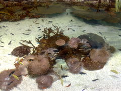 -上海海洋水族馆-停车场