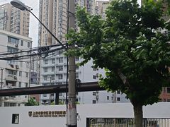 -上海市静安区教育学院附属学校(江宁校区)