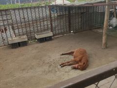 -河北村民俗体验园