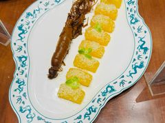 -华膳楼·安徽地标美食·中华餐饮名店(文化公园店)