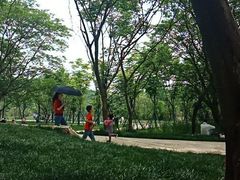 -盘龙城国家考古遗址公园