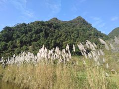 -靖西鹅泉风景区