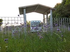 -仙海旅游度假区