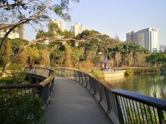 -四海公园(南山区)
