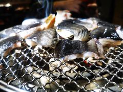 吉力烤鳗鱼-吉力烤鳗