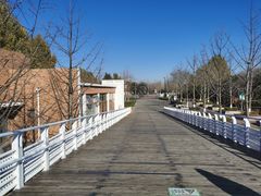 -大兴滨河森林公园