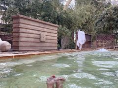 -春晖园度假酒店温泉