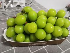 -百果园PAGODA(建业如意家园店)