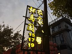 -张鸟园农家乐(张鸟园店)