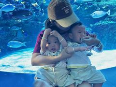 -海合安成都极地海洋公园