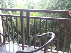 -西双版纳融创皇冠假日度假酒店