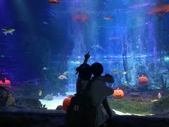 -沈阳海洋探索中心