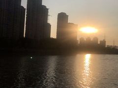 -光明港公园