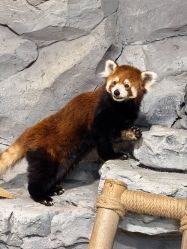 -Zoolung Zoolung动物主题公园(海信广场店)