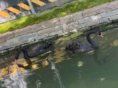 -春风习习