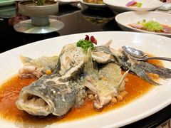 -十八棵（老龙井）御茶园(老龙井店)