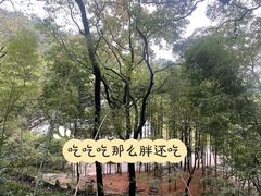 -岳麓书院