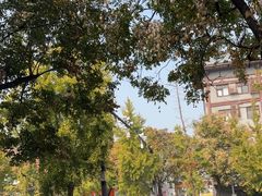 -一记洛阳菜·糖醋小排·水席(十字街店)
