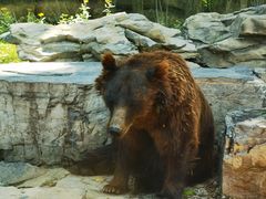 -北京野生动物园