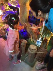 -恐龙探索乐园(磁器口店)