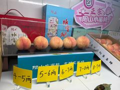 -老袁家蜜桃农场·阳山水蜜桃