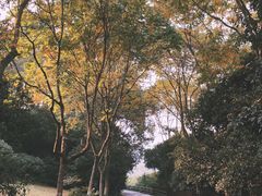-杭州少年儿童公园