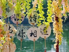 -百花洲
