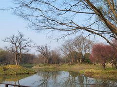 -西溪国家湿地公园