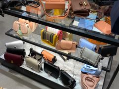 -Charles & Keith(大运河购物中心店)