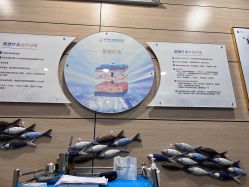 -重庆联合丽格第五医疗美容医院