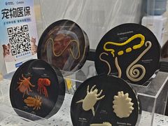 -半岛宠物医院24小时(白果林店)