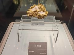 -安徽省地质博物馆