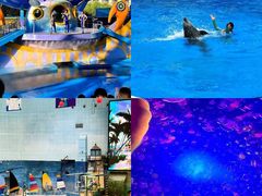 -海合安天津极地海洋公园