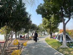 -金银湖国家城市湿地公园