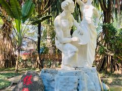 -瑞丽独树成林风景区