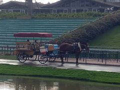 -迪茵湖田家舍生态农场