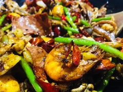 -食乐佳麻辣香锅(森林摩尔商业街区店)