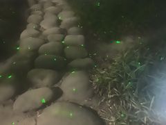 -乌镇东栅景区