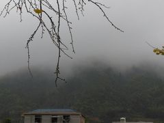 -南雄冯屋银杏山庄
