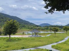 -风云岭森林公园