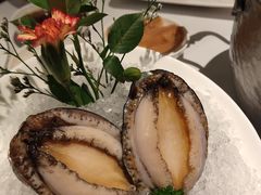 六头鲍鱼-红雀围·海鲜火锅(陆家嘴中心店)
