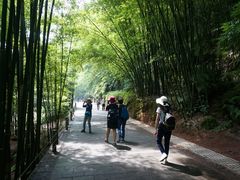 -四洞沟景区
