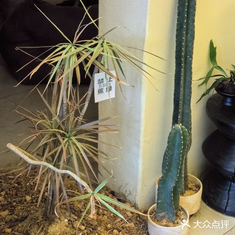 只在此山中，云深不知处