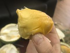 -三叔公