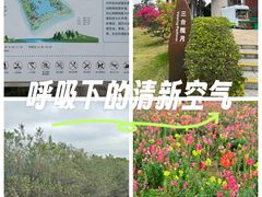-芒洲湿地公园